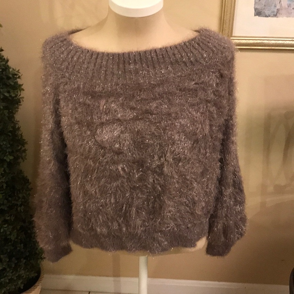 Express Metallic sweater